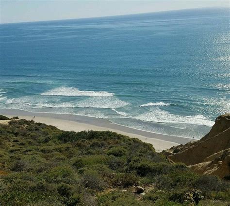 naked in san diego|Black’s Beach in San Diego: Everything You Need To Know